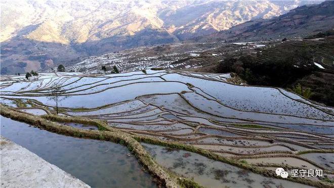 饮水：各自的魅力ag真人饮茶与